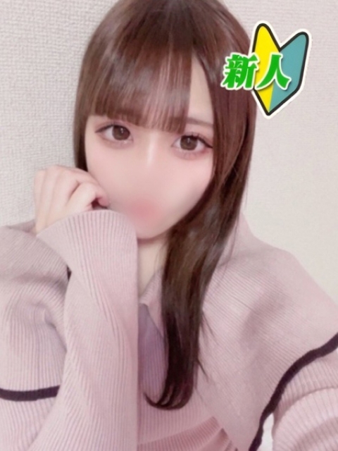 ちわわ1