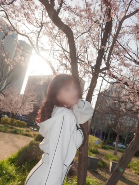 ゆめみ4