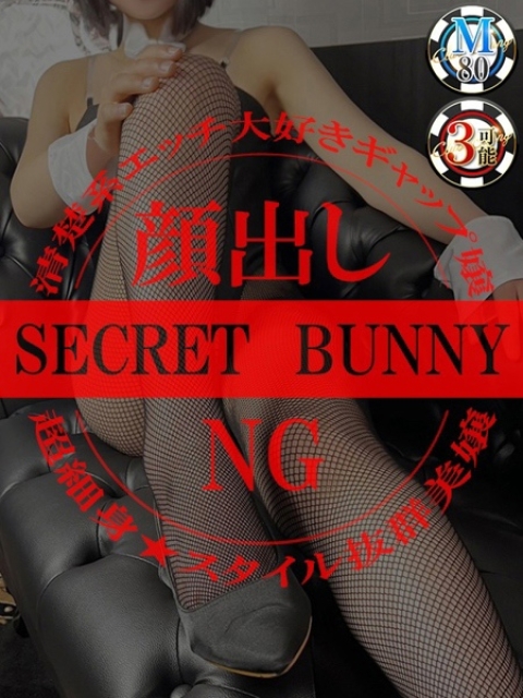 ノア【H大好き萌え萌えバニー】