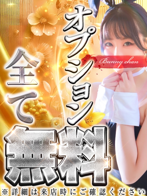 ♦オールオプション無料♦
