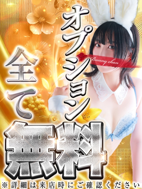 ♦オールオプション無料♦